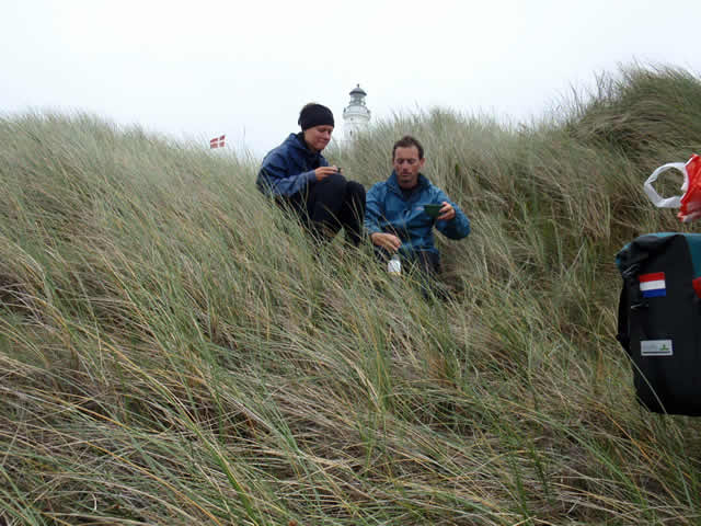 Wijn drinken in de duinen