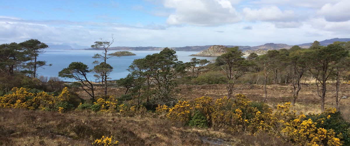 De kust bij Glenuig Schotland