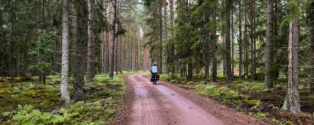 JW fietst over grusweg door een naaldbos