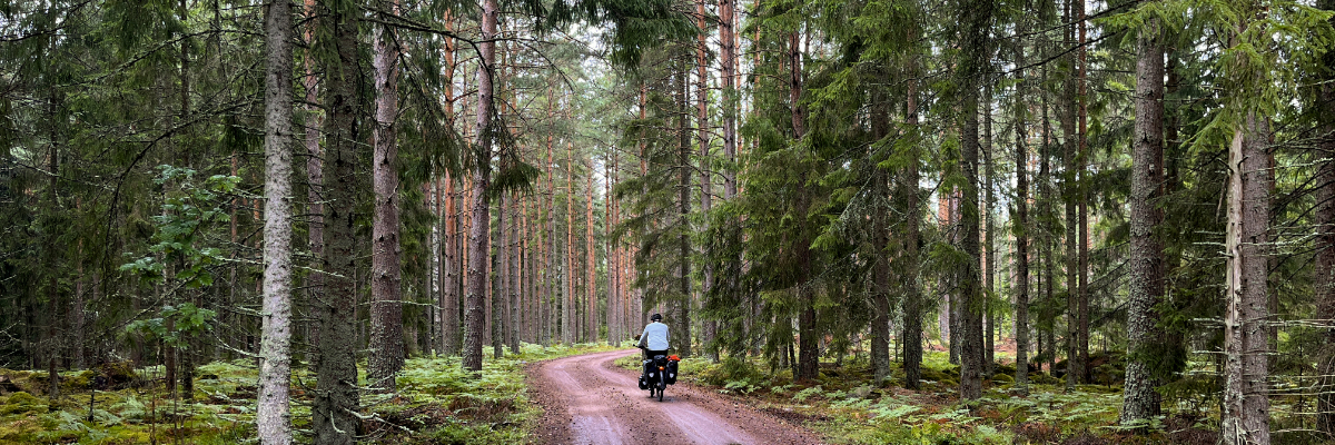 Fietsen in Zweden